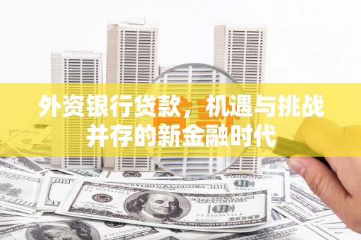 柳东外资银行贷款，机遇与挑战并存的新金融时代