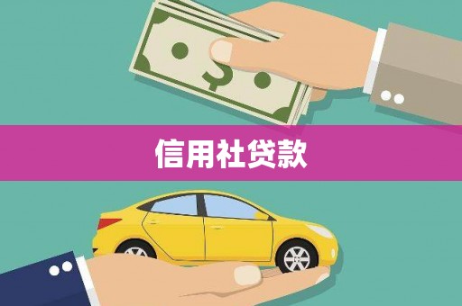 柳东信用社贷款