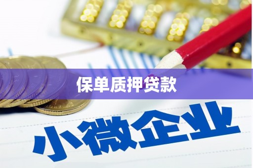 柳东保单质押贷款