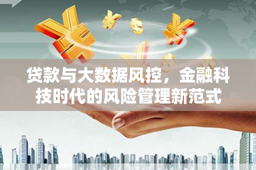 柳东贷款与大数据风控，金融科技时代的风险管理新范式