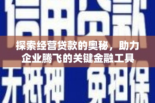 柳东探索经营贷款的奥秘，助力企业腾飞的关键金融工具