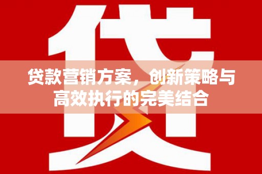 柳东贷款营销方案，创新策略与高效执行的完美结合