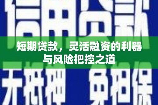 柳东短期贷款，灵活融资的利器与风险把控之道