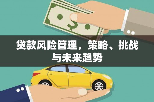 柳东贷款风险管理，策略、挑战与未来趋势