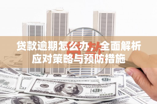 柳东贷款逾期怎么办，全面解析应对策略与预防措施