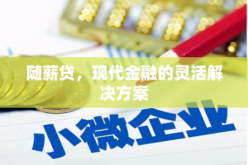 柳东随薪贷，现代金融的灵活解决方案