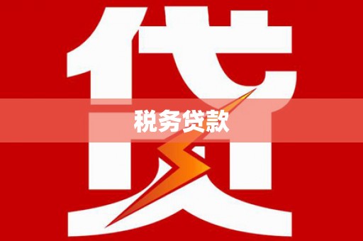 柳东税务贷款