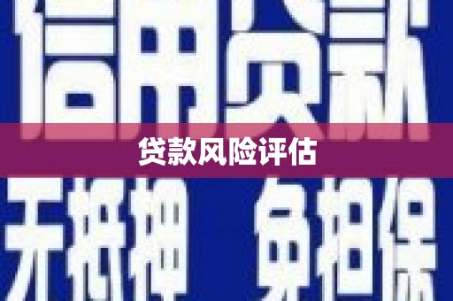 柳东贷款风险评估