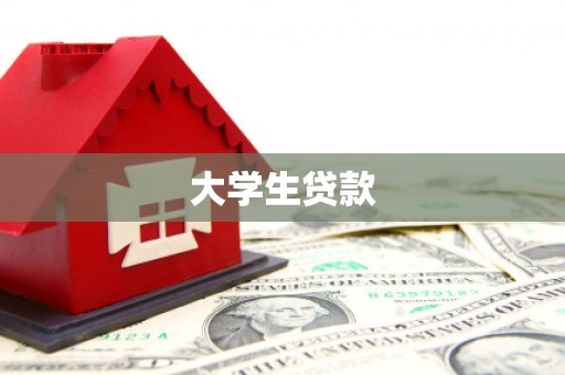柳东大学生贷款