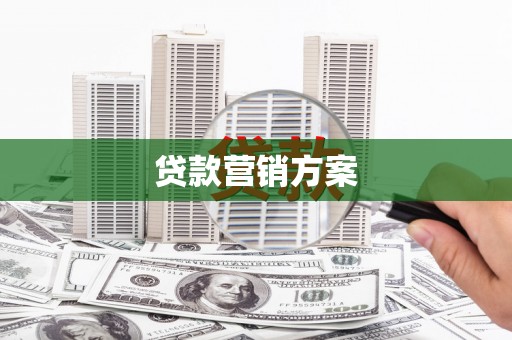 柳东贷款营销方案