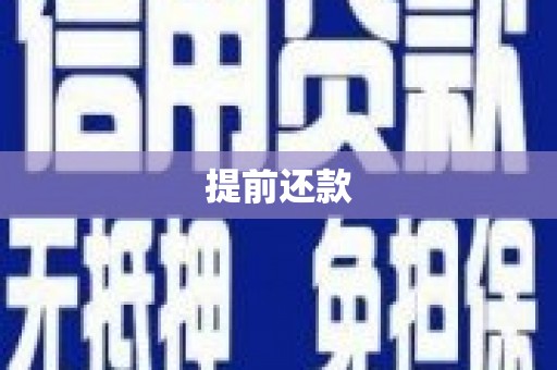 柳东提前还款