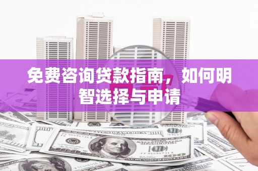柳东免费咨询贷款指南，如何明智选择与申请