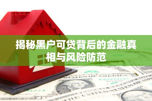 柳东揭秘黑户可贷背后的金融真相与风险防范