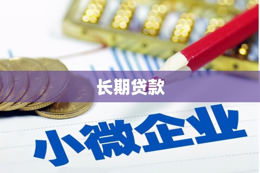 柳东长期贷款