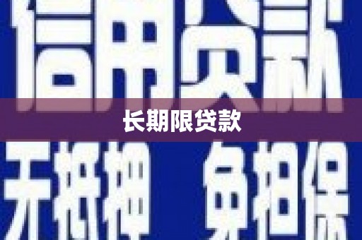柳东长期限贷款