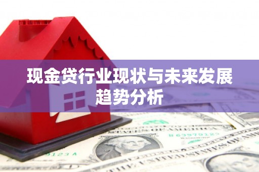柳东现金贷行业现状与未来发展趋势分析