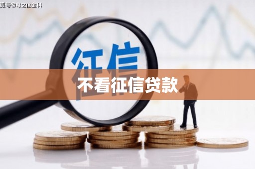 柳东不看征信贷款