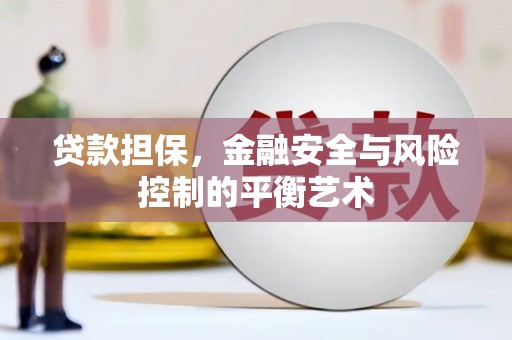 柳东贷款担保，金融安全与风险控制的平衡艺术