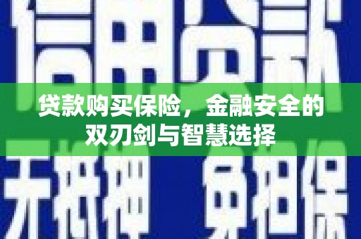柳东贷款购买保险，金融安全的双刃剑与智慧选择