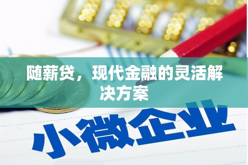 柳东随薪贷，现代金融的灵活解决方案