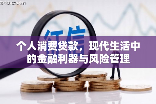 柳东个人消费贷款，现代生活中的金融利器与风险管理