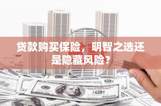 柳东贷款购买保险，明智之选还是隐藏风险？