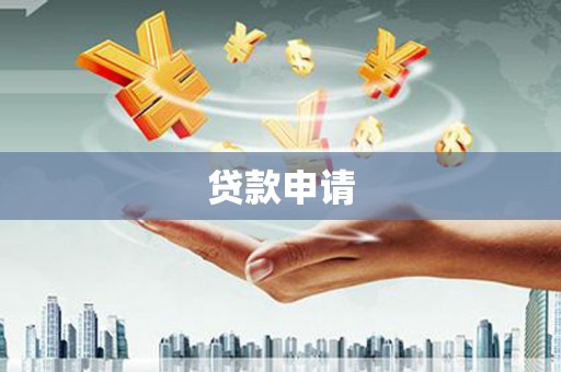 柳东贷款申请