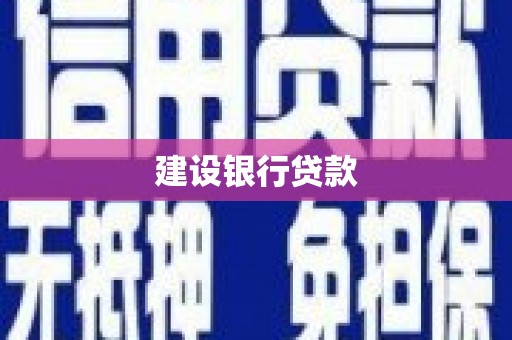 柳东建设银行贷款