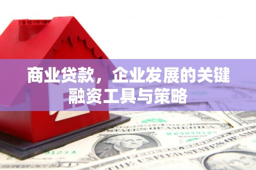 柳东商业贷款，企业发展的关键融资工具与策略