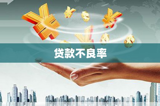 柳东贷款不良率