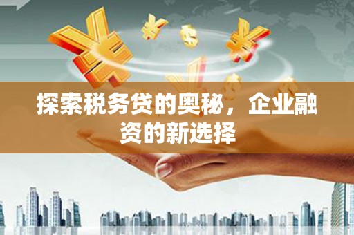 柳东探索税务贷的奥秘，企业融资的新选择