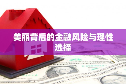 柳东美丽背后的金融风险与理性选择