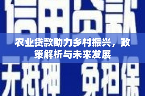 柳东农业贷款助力乡村振兴，政策解析与未来发展