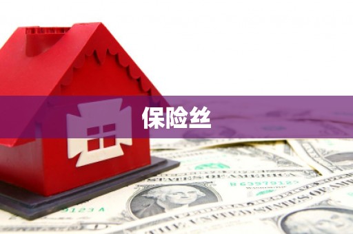 柳东保险丝