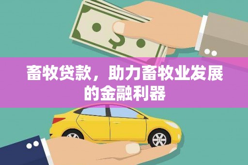 柳东畜牧贷款，助力畜牧业发展的金融利器
