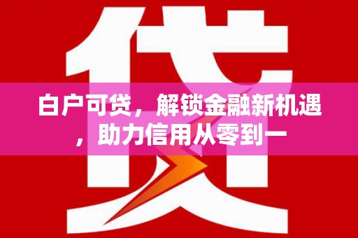 柳东白户可贷，解锁金融新机遇，助力信用从零到一