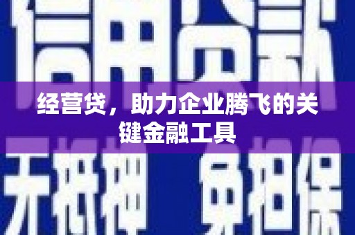 柳东经营贷，助力企业腾飞的关键金融工具