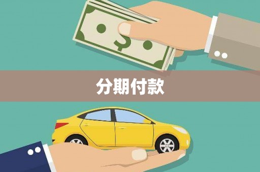 柳东分期付款