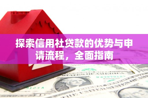 柳东探索信用社贷款的优势与申请流程，全面指南