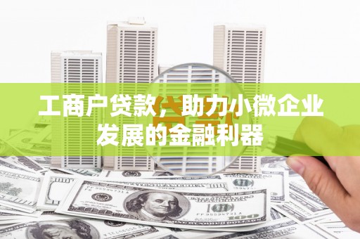 柳东工商户贷款，助力小微企业发展的金融利器