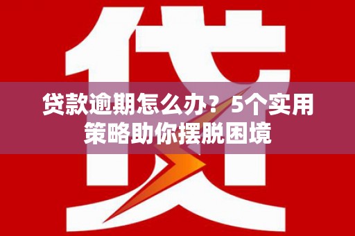 柳东贷款逾期怎么办？5个实用策略助你摆脱困境