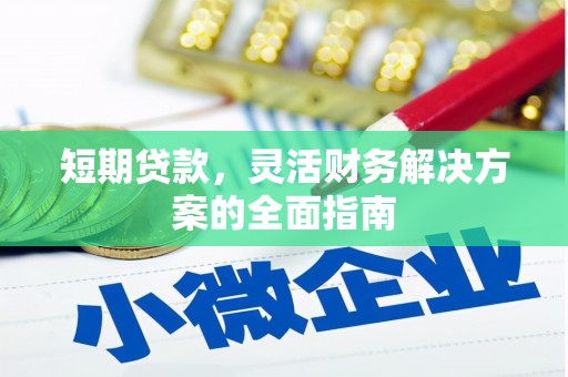 柳东短期贷款，灵活财务解决方案的全面指南