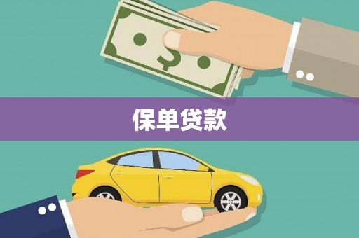 柳东保单贷款