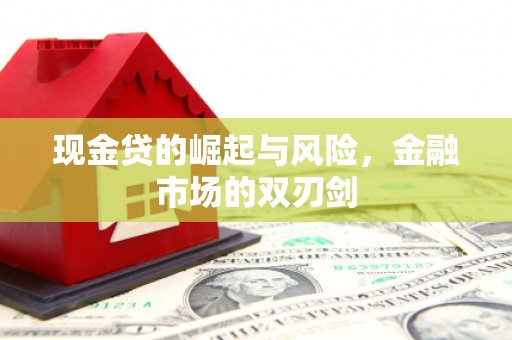 柳东现金贷的崛起与风险，金融市场的双刃剑
