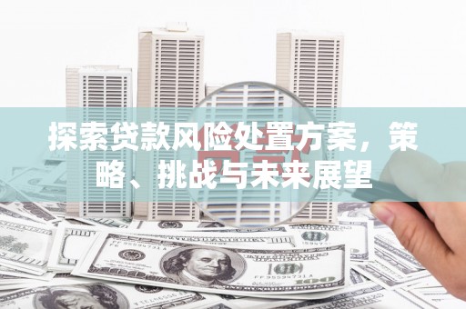 柳东探索贷款风险处置方案，策略、挑战与未来展望