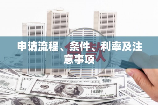 柳东申请流程、条件、利率及注意事项