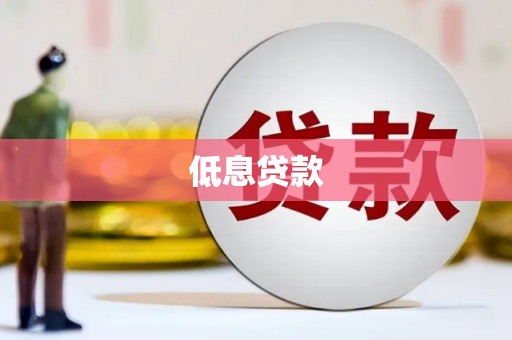 柳东低息贷款
