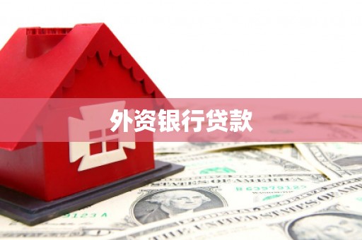 柳东外资银行贷款