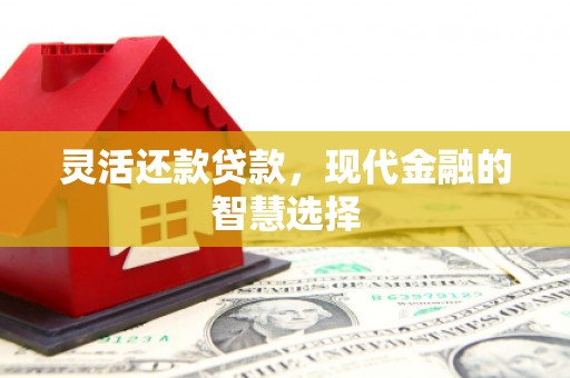柳东灵活还款贷款，现代金融的智慧选择