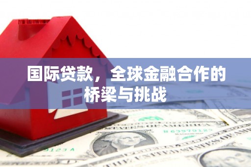 柳东国际贷款，全球金融合作的桥梁与挑战